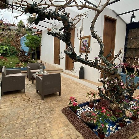 Hotel Boutique Amorini San Cristóbal de Las Casas エクステリア 写真